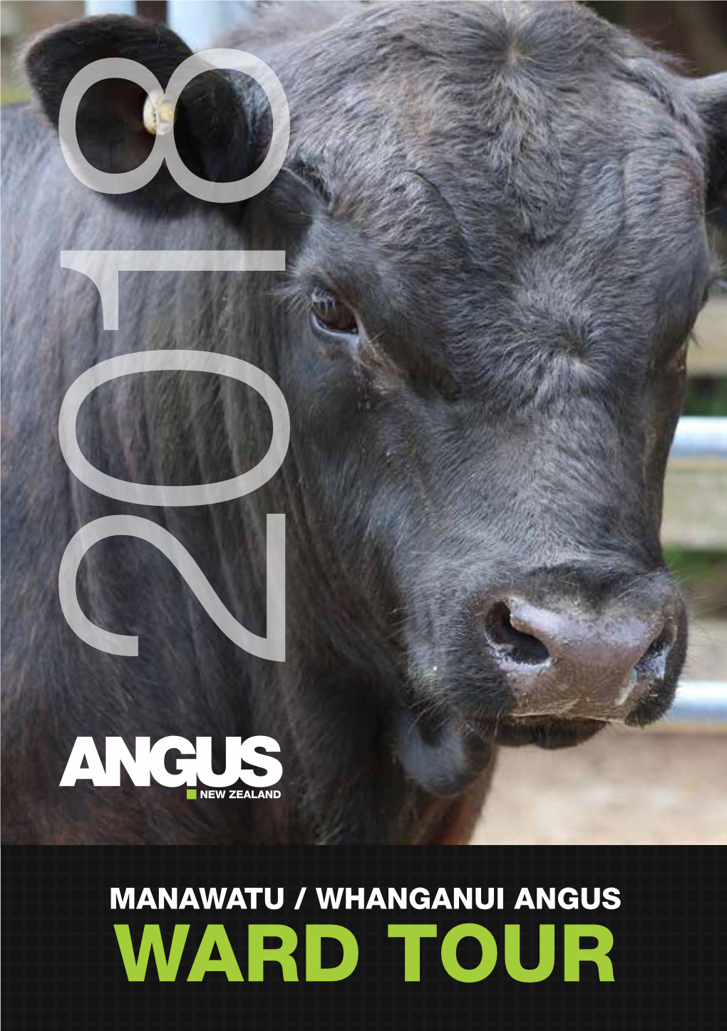 Manawatu / Whanganui Angus