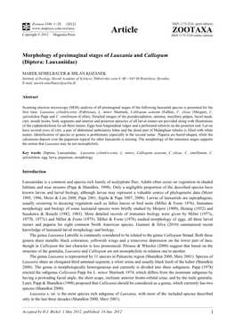 Morphology of Preimaginal Stages of Lauxania and Calliopum (Diptera: Lauxaniidae)