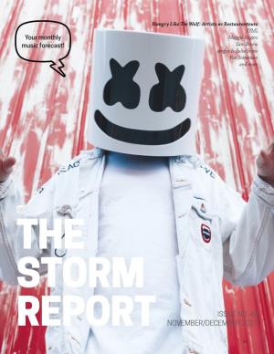 STORM Report the STORM Report Is a Compilation of Up-And-Coming Bands and Explores the Increasingly Popular Trend Artists Who Are Worth Watching