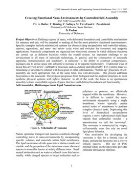 Creating Functional Nano-Environments by Controlled Self-Assembly NSF NIRT Grant 0103516 Pis: A
