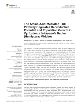The Amino Acid-Mediated TOR Pathway Regulates Reproductive Potential and Population Growth in Cyrtorhinus Lividipennis Reuter (Hemiptera: Miridae)
