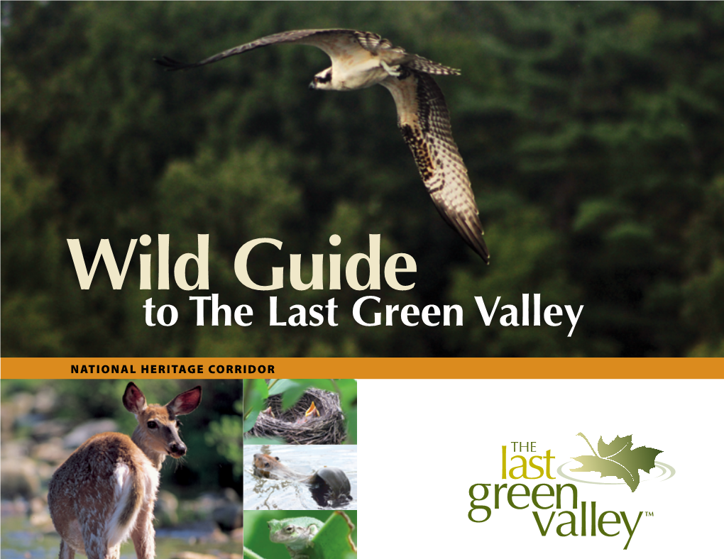 Wild Guide to the Last Green Valley
