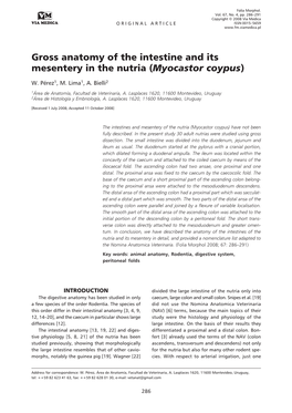 Gross Anatomy of the Intestine and Its Mesentery in the Nutria (Myocastor Coypus)