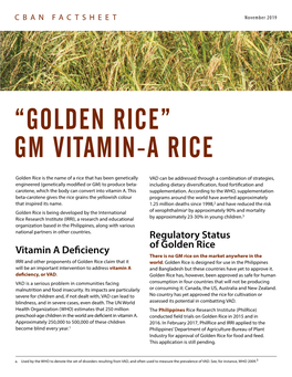 Golden Rice” Gm Vitamin-A Rice