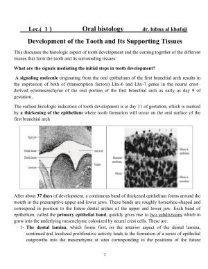 Oral Histology Development of the Tooth and Its Supporting Tissues