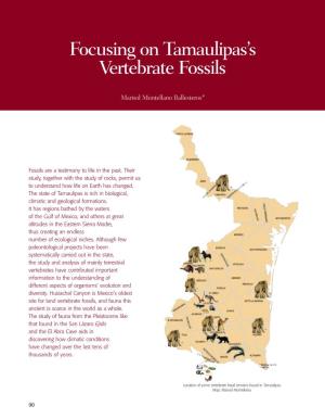 Focusing on Tamaulipas's Vertebrate Fossils