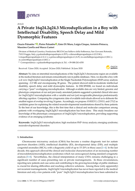 A Private 16Q24.2Q24.3 Microduplication in a Boy with Intellectual Disability, Speech Delay and Mild Dysmorphic Features