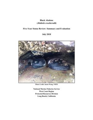 Black Abalone 5-Year Status Review Update