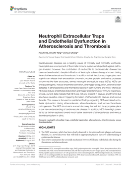 Neutrophil Extracellular Traps and Endothelial Dysfunction in Atherosclerosis and Thrombosis