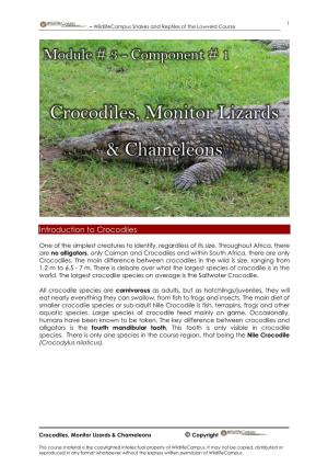 Crocodiles, Monitor Lizards & Chameleons