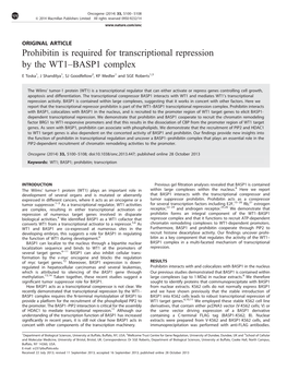 Prohibitin Is Required for Transcriptional Repression by the WT1–BASP1 Complex