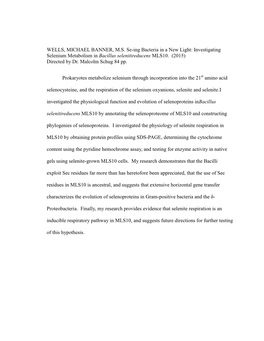 Investigating Selenium Metabolism in Bacillus Selenitireducens MLS10