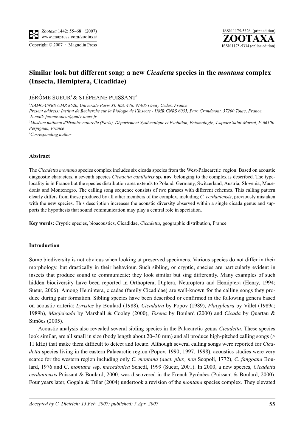 Zootaxa, Similar Look but Different Song: a New Cicadetta Species In