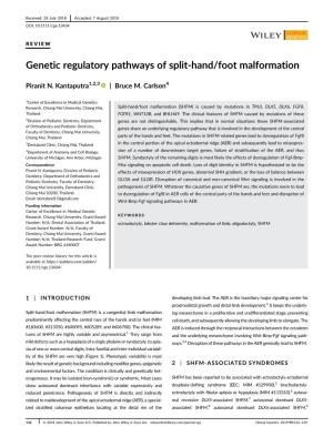 Genetic Regulatory Pathways of Split Hand-Foot Malformation