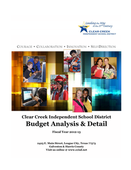 Budget Analysis & Detail