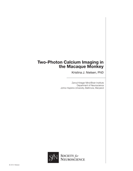 Two-Photon Calcium Imaging in the Macaque Monkey Kristina J