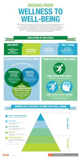 Moving from Wellness to Well-Being