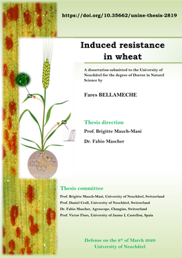 Induced Resistance in Wheat