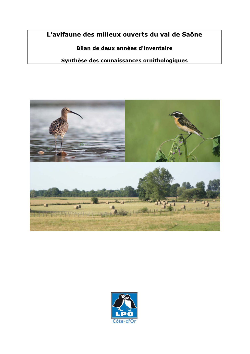 L'avifaune Des Milieux Ouverts Du Val De Saône