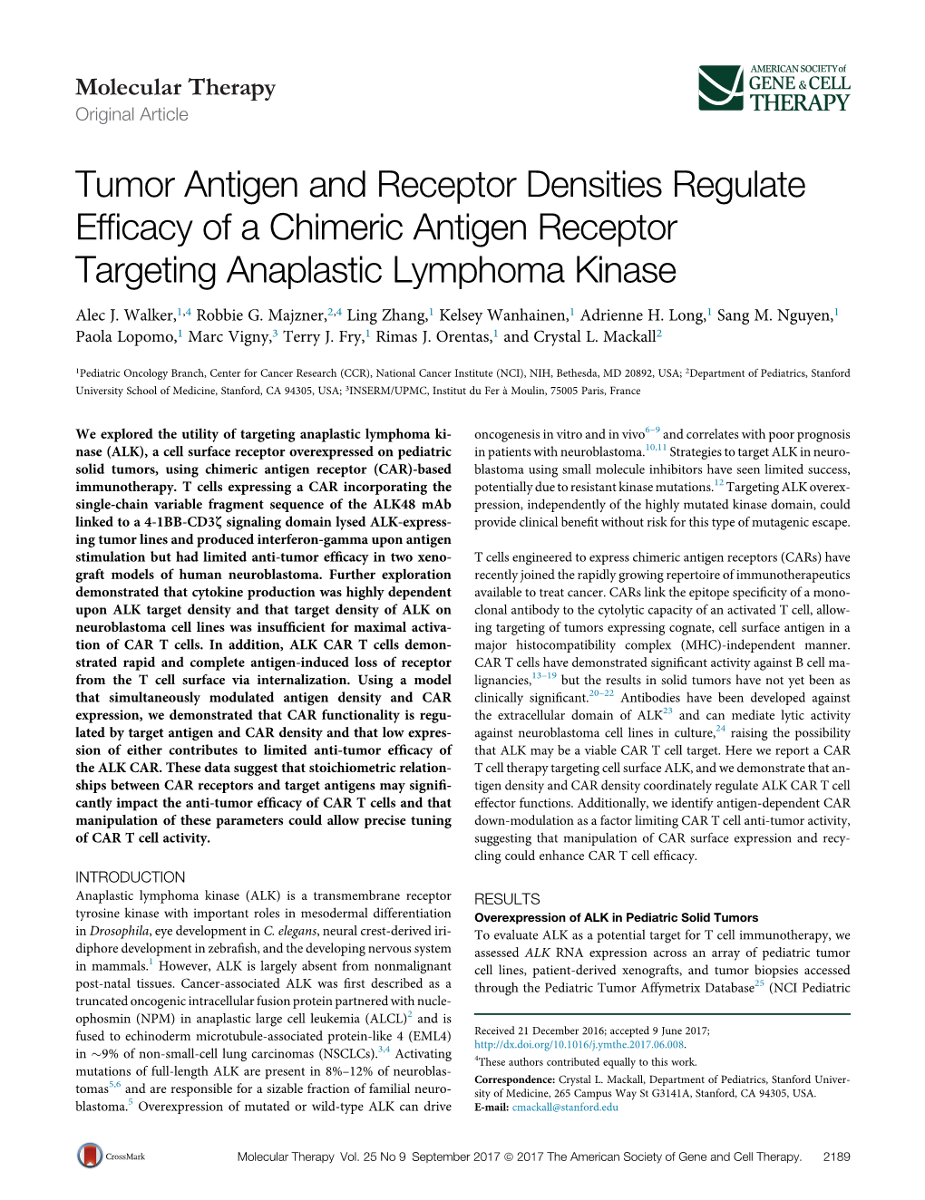 Tumor Antigen and Receptor Densities Regulate Efficacy of A