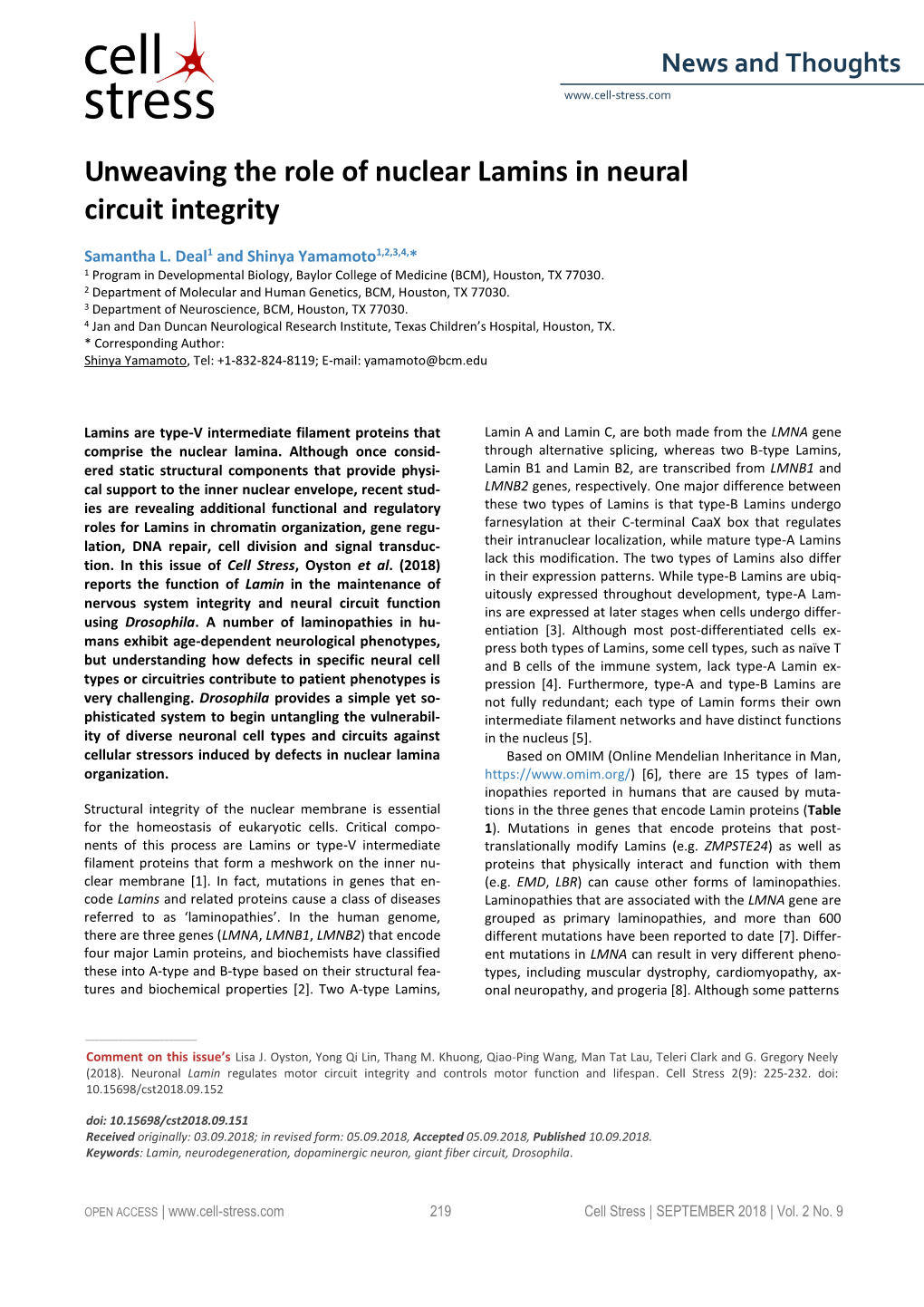 Unweaving the Role of Nuclear Lamins in Neural Circuit Integrity