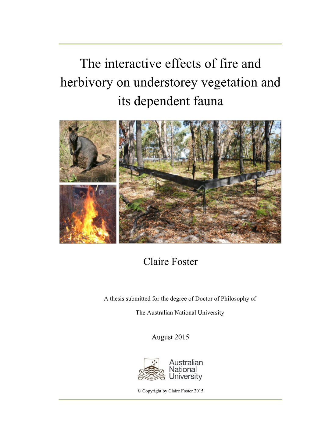 The Interactive Effects of Fire and Herbivory on Understorey Vegetation and Its Dependent Fauna