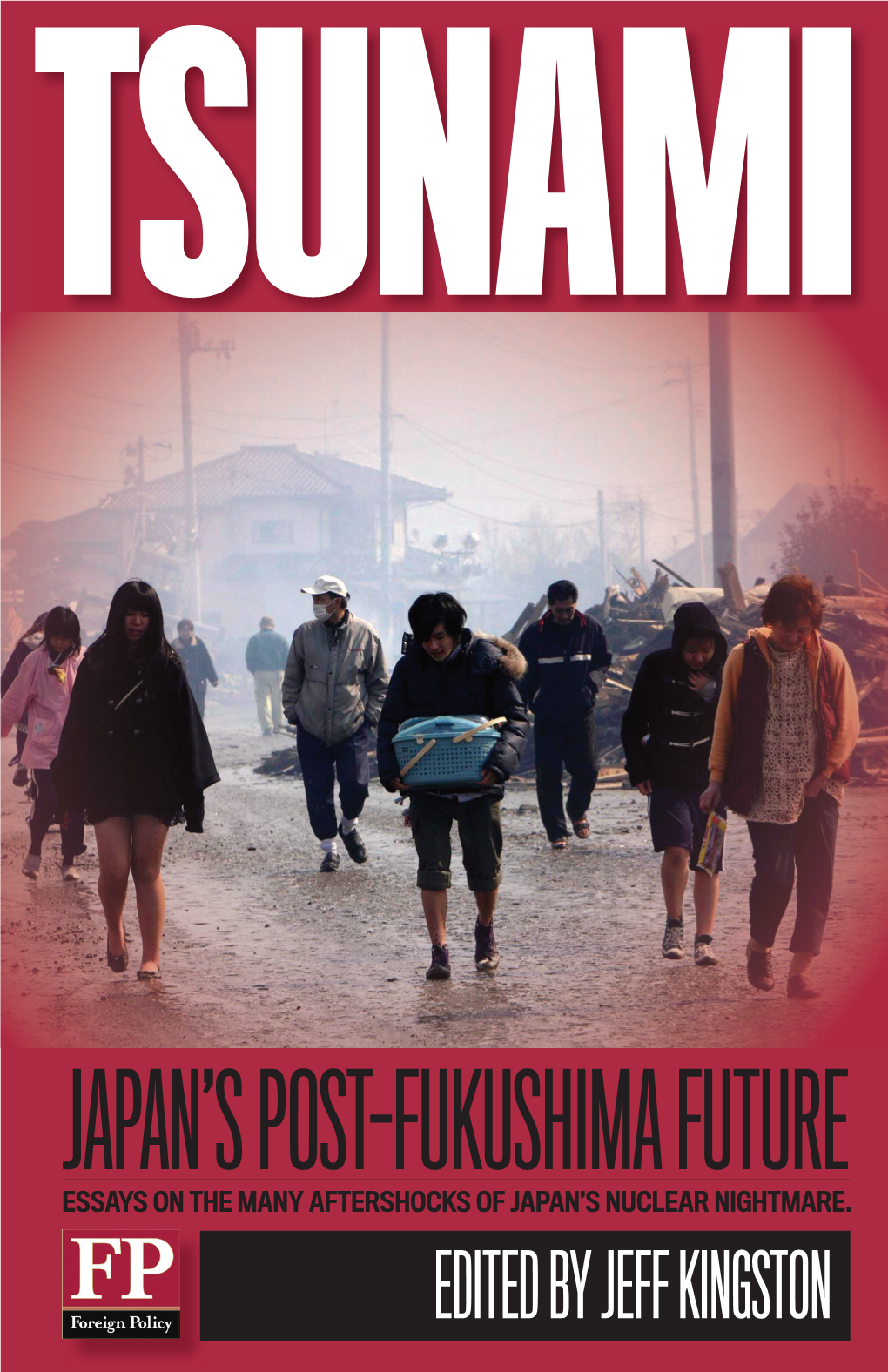 Japan's Post-Fukushima Future