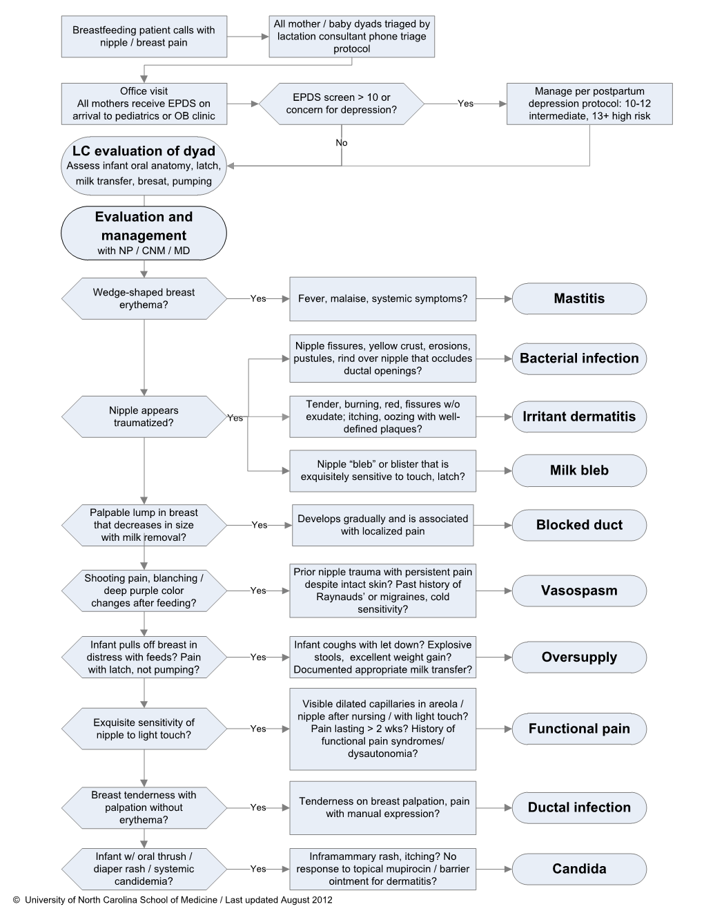 LC Evaluation of Dyad Candida Bacterial Infection Irritant Dermatitis