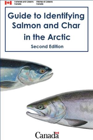 Guide to Identifying Salmon and Char in the Arctic