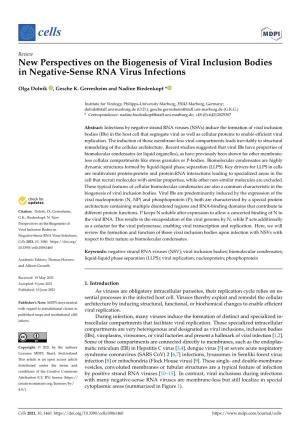 New Perspectives on the Biogenesis of Viral Inclusion Bodies in Negative-Sense RNA Virus Infections