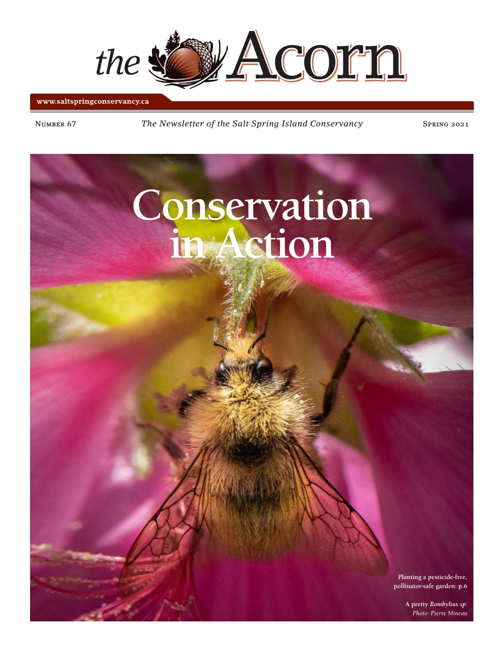 Spring 2021ACORN.Pdf