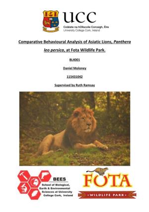 Comparative Behavioural Analysis of Asiatic Lions, Panthera Leo Persica, at Fota Wildlife Park