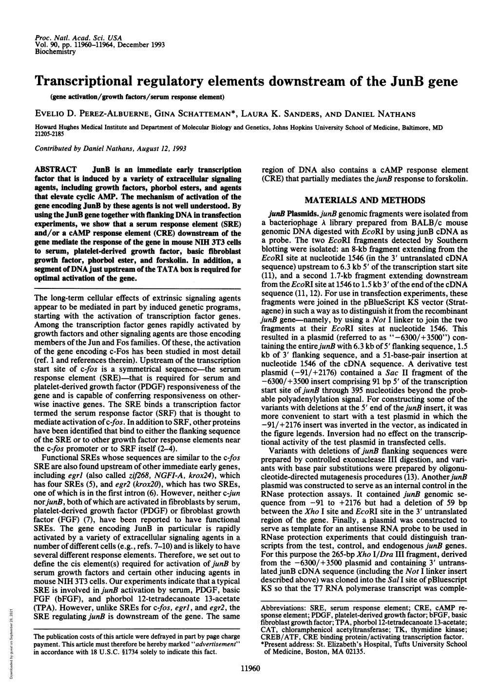 Transcriptional Regulatory Elements Downstream of the Junb Gene (Gene Activation/Growth Factors/Serum Response Element) EVELIO D