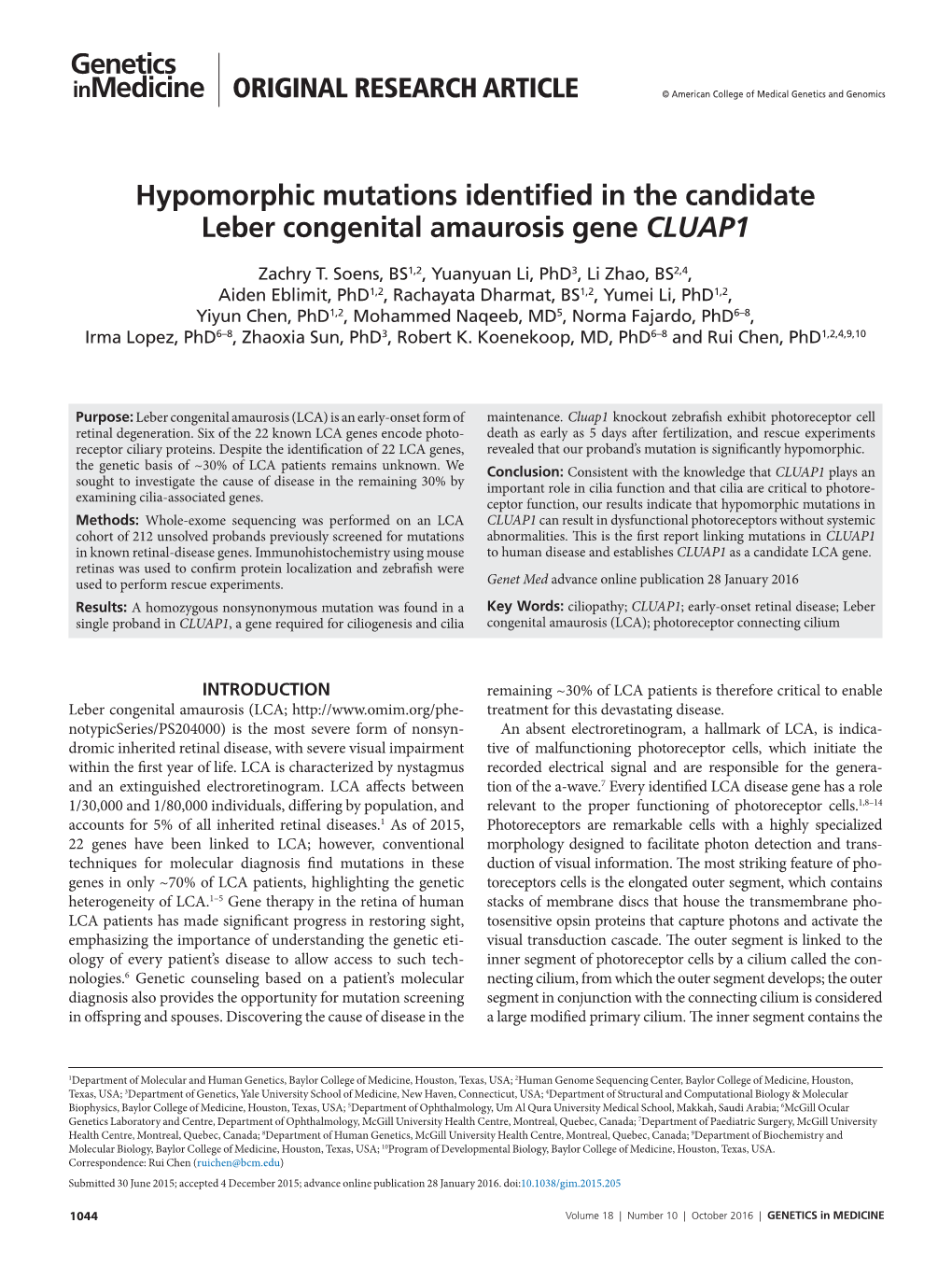 Hypomorphic Mutations Identified in the Candidate Leber Congenital Amaurosis Gene CLUAP1