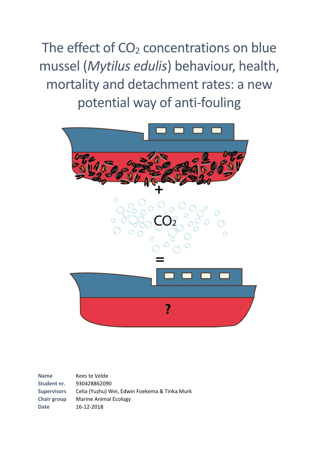 The Effect of CO2 Concentrations on Blue Mussel (Mytilus Edulis) Behaviour, Health, Mortality and Detachment Rates: a New Potential Way of Anti-Fouling