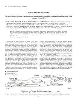 SHORT COMMUNICATION on Speleosiro Argasiformis—A Troglobitic Cyphophthalmi (Arachnida: Opiliones: Pettalidae) from Table Mount