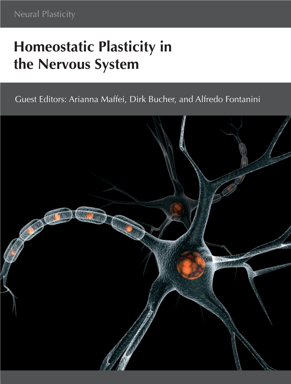 Homeostatic Plasticity in the Nervous System