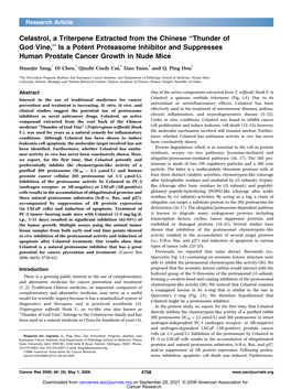 Thunder of God Vine,’’ Is a Potent Proteasome Inhibitor and Suppresses Human Prostate Cancer Growth in Nude Mice