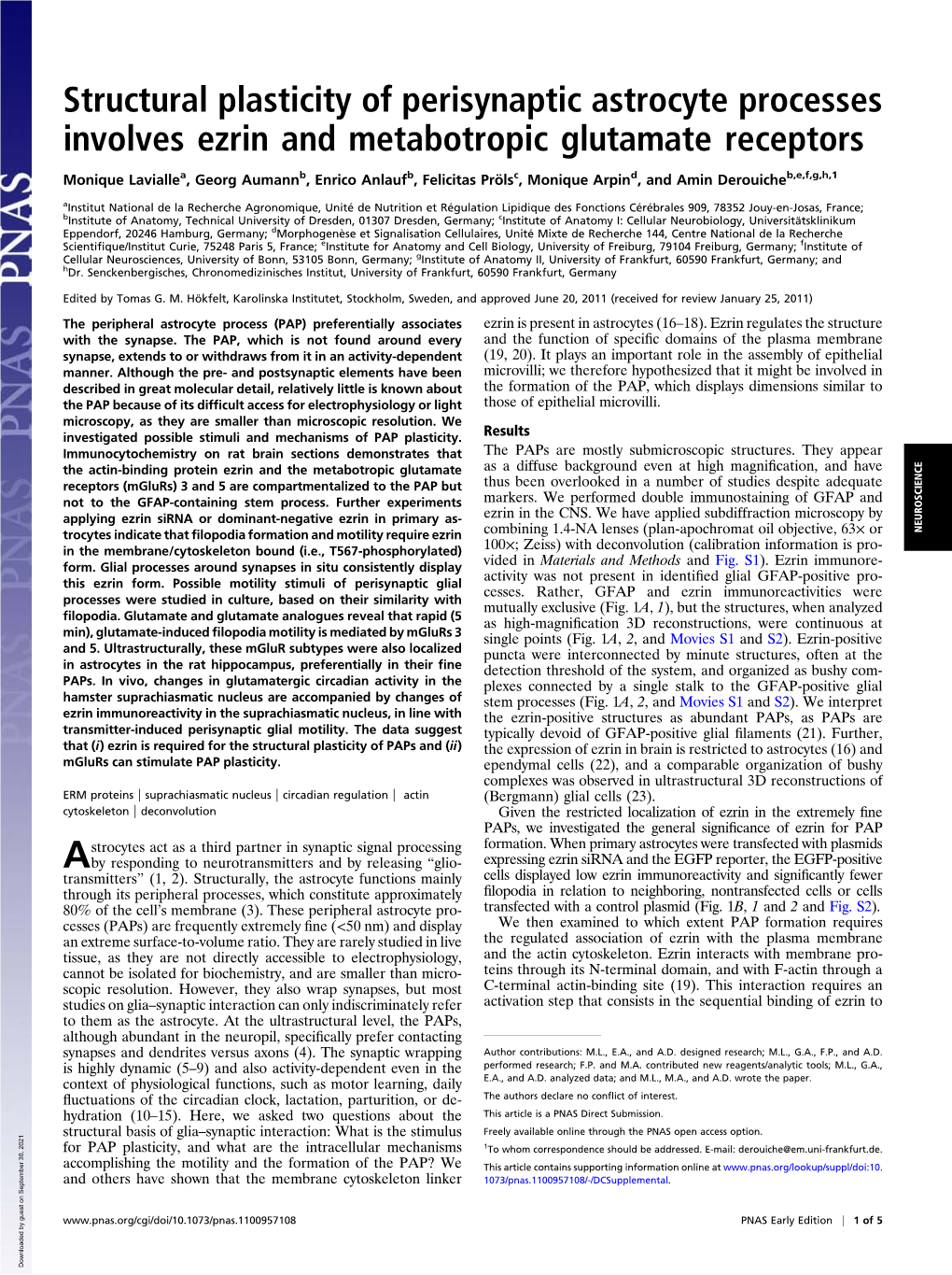 Structural Plasticity of Perisynaptic Astrocyte Processes Involves Ezrin and Metabotropic Glutamate Receptors