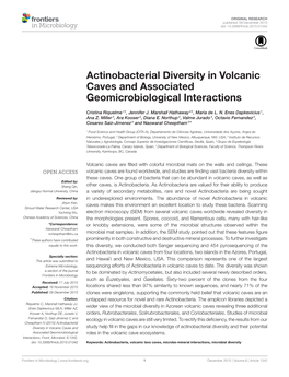 Actinobacterial Diversity in Volcanic Caves and Associated Geomicrobiological Interactions
