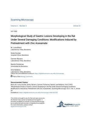 Morphological Study of Gastric Lesions Developing in the Rat Under Several Damaging Conditions: Modifications Induced by Pretreatment with Zinc Acexamate