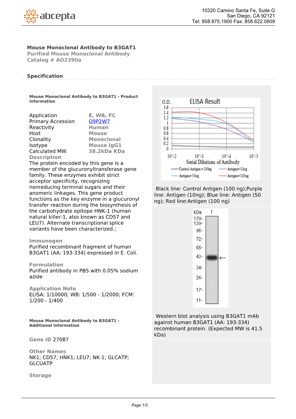 Mouse Monoclonal Antibody to B3GAT1 Purified Mouse Monoclonal Antibody Catalog # Ao2390a