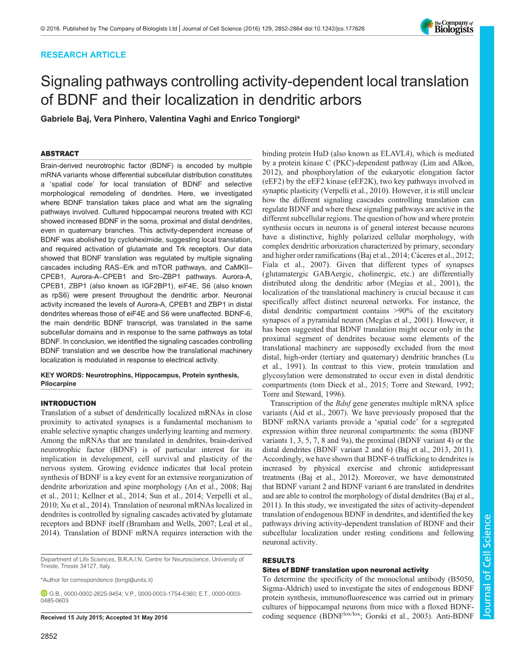 Signaling Pathways Controlling Activity-Dependent Local Translation Of