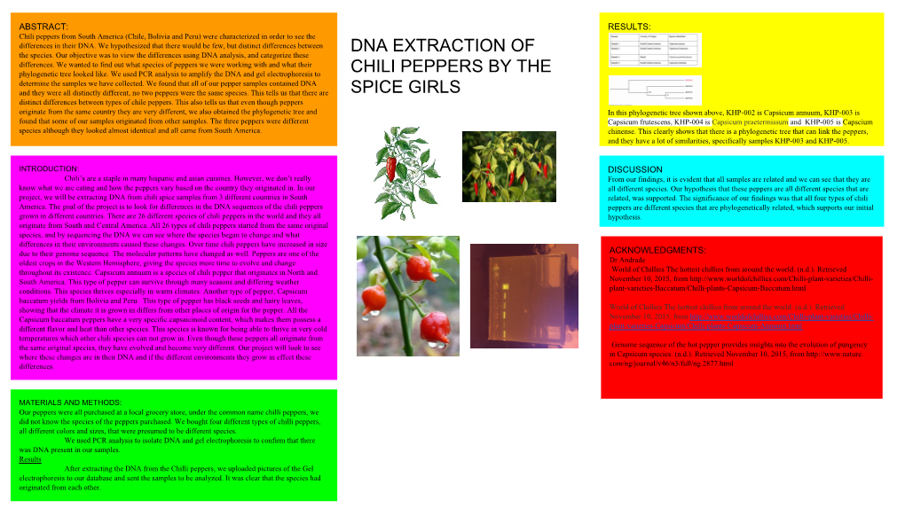 Dna Extraction of Chili Peppers by the Spice Girls