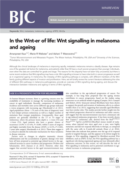 Wnt Signalling in Melanoma and Ageing
