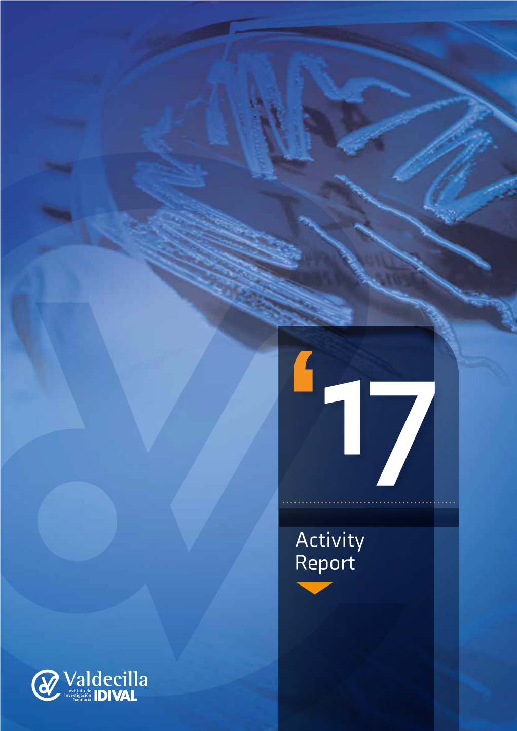 Activity Report 2017