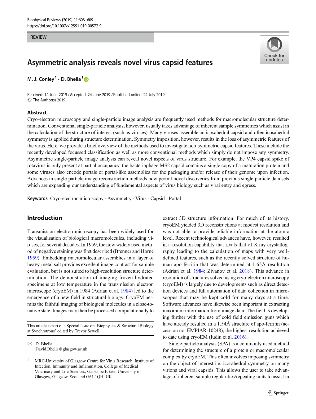 Asymmetric Analysis Reveals Novel Virus Capsid Features