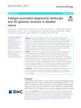 Subtype-Associated Epigenomic Landscape and 3D Genome