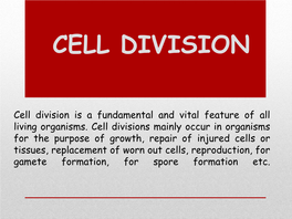 Cell Division