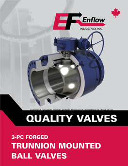 View Trunnion Mounted Ball Valves Brochure